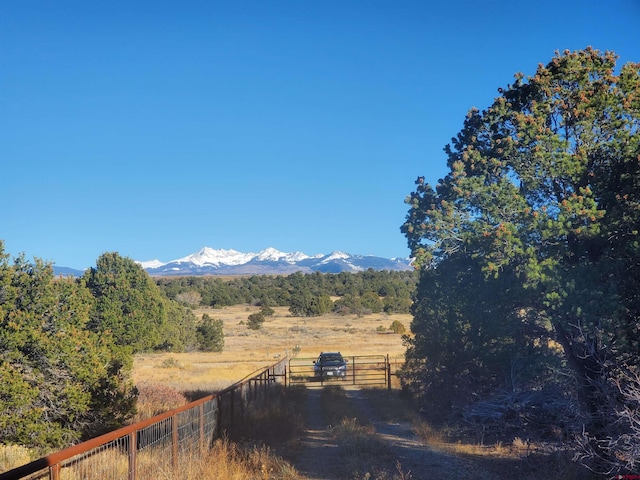 13989 Rd 35.6, Mancos, CO 81328