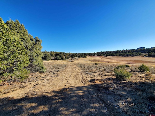 13989 Rd 35.6, Mancos, CO 81328