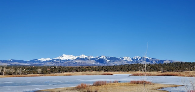 13989 Rd 35.6, Mancos, CO 81328