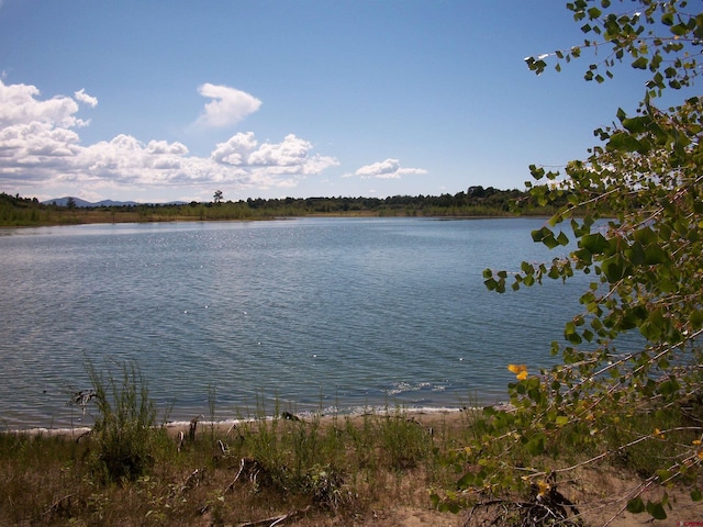 13989 Rd 35.6, Mancos, CO 81328