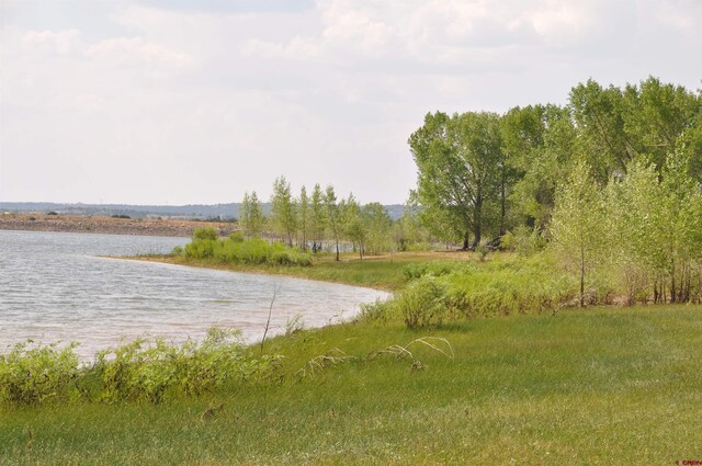 13989 Rd 35.6, Mancos, CO 81328