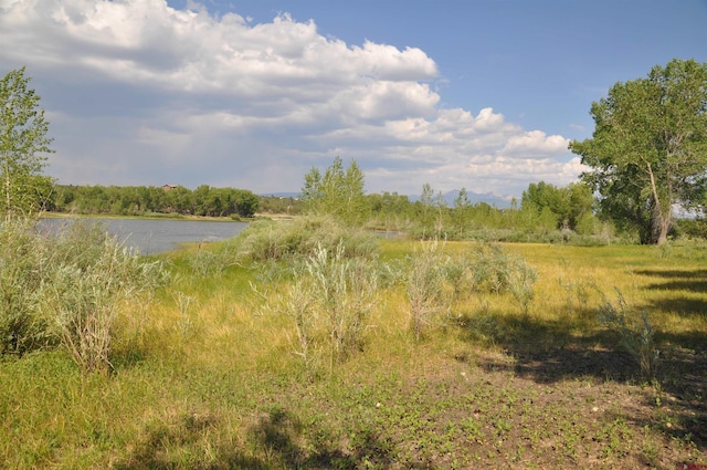 13989 Rd 35.6, Mancos, CO 81328