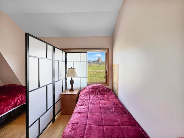 bedroom with hardwood / wood-style floors