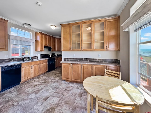 kitchen with sink, plenty of natural light, ornamental molding, and black appliances