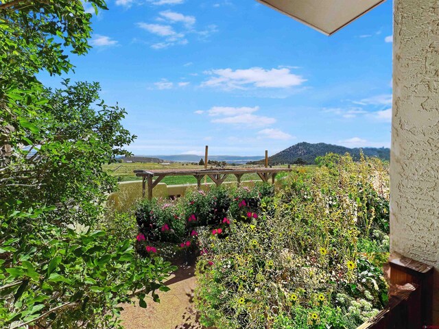 view of yard with a mountain view