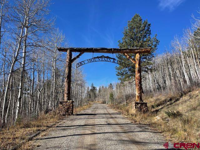 TBD Sky Mountain Ranch Road, Placerville CO, 81430 land for sale