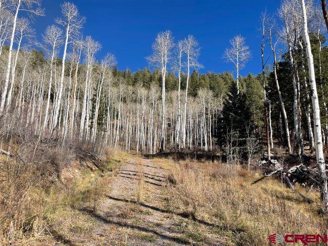 Listing photo 3 for TBD Sky Mountain Ranch Road, Placerville CO 81430