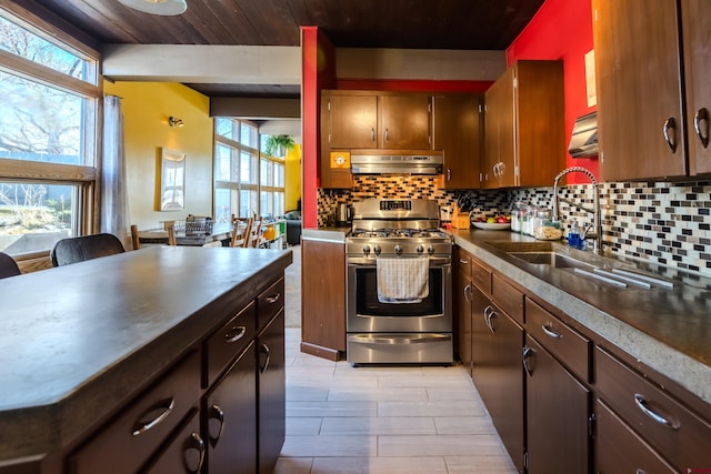 kitchen with gas range, a wealth of natural light, and sink