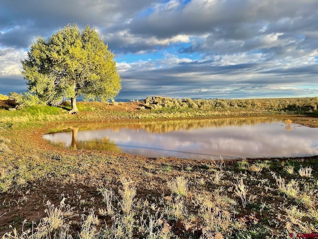 TBD Road 17, Cortez CO, 81321 land for sale