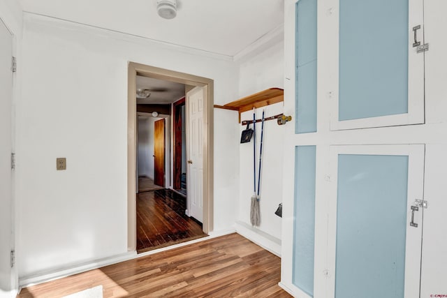 corridor featuring crown molding and hardwood / wood-style floors