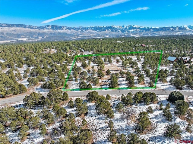 193 Fisher Canyon Dr, Ridgway CO, 81432 land for sale