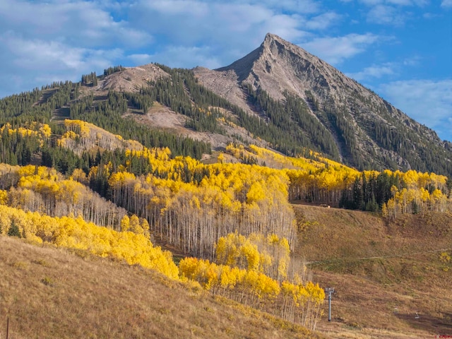 view of mountain feature