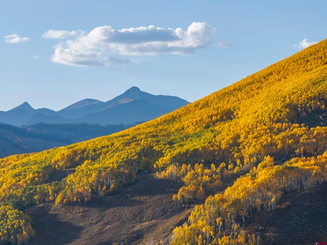 property view of mountains