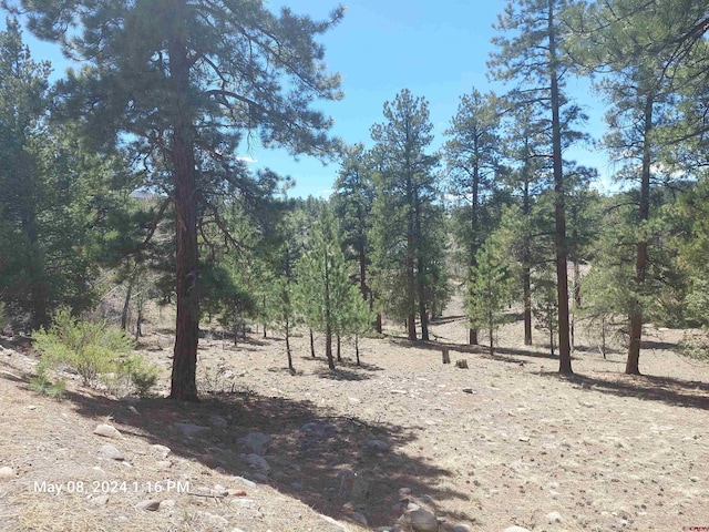 761 Escondida Dr, South Fork CO, 81154 land for sale