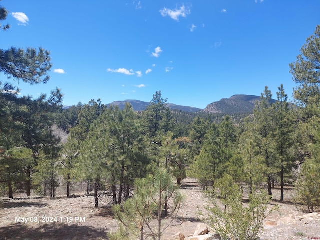 Listing photo 2 for 761 Escondida Dr, South Fork CO 81154