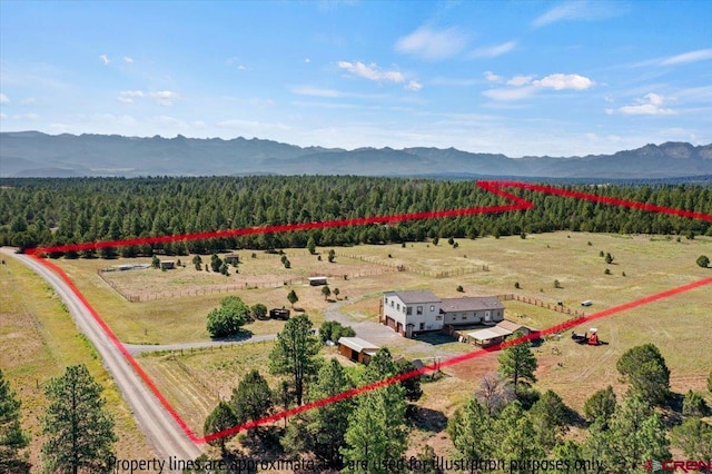 drone / aerial view with a rural view and a mountain view