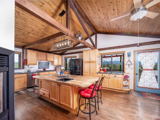 kitchen featuring butcher block countertops, dark hardwood / wood-style floors, a healthy amount of sunlight, and stainless steel appliances