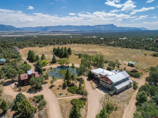 drone / aerial view with a water and mountain view