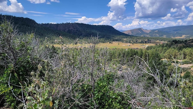 196/164 Jennifers Pl, Pagosa Springs CO, 81147 land for sale