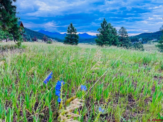 119 La Ventana Pl, Pagosa Springs CO, 81147 land for sale