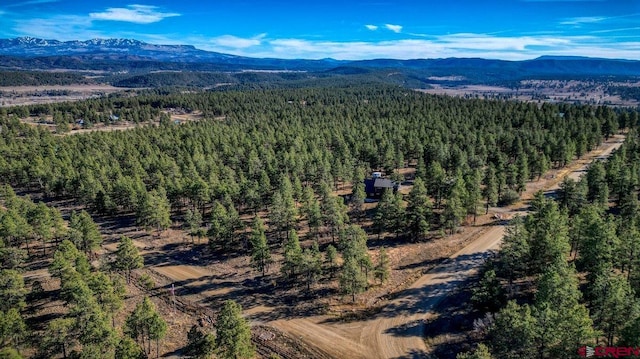 drone / aerial view with a mountain view