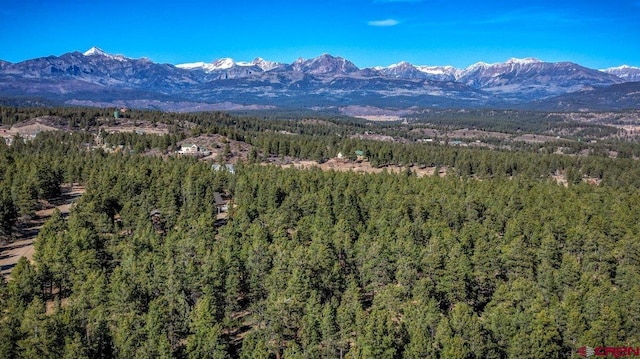 property view of mountains