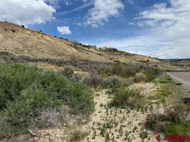 TBD Ward Creek Rd, Cedaredge CO, 81413 land for sale