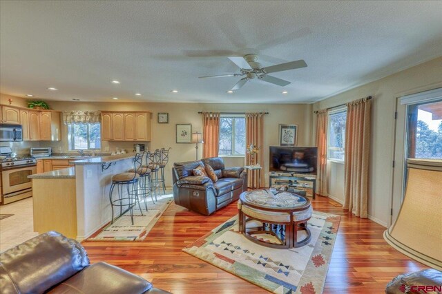 living room featuring a wealth of natural light, ceiling fan, a textured ceiling, and light wood-type flooring