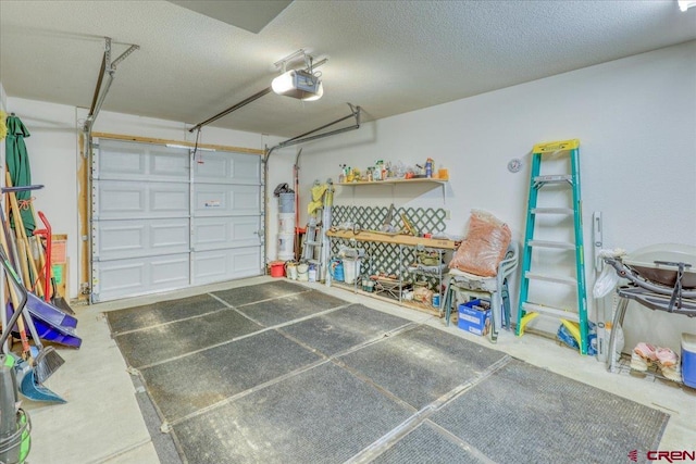 garage with a garage door opener