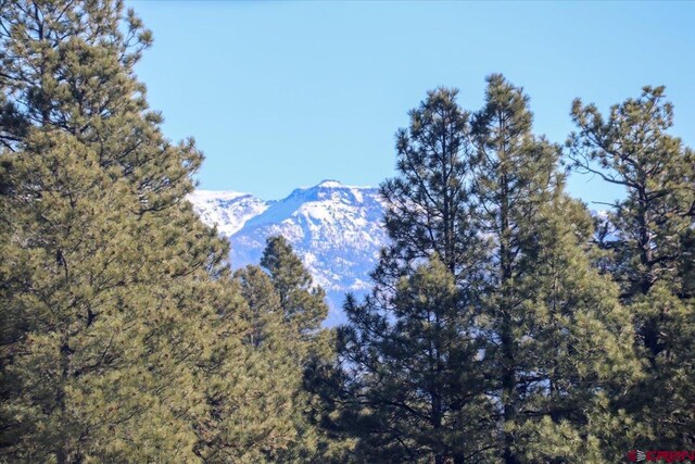 property view of mountains