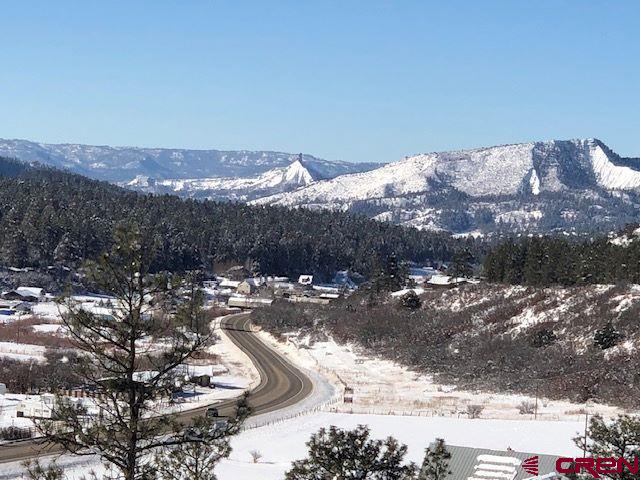 Listing photo 3 for 75 Ironwood Dr, Pagosa Springs CO 81147