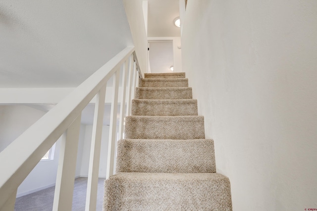 staircase with carpet floors