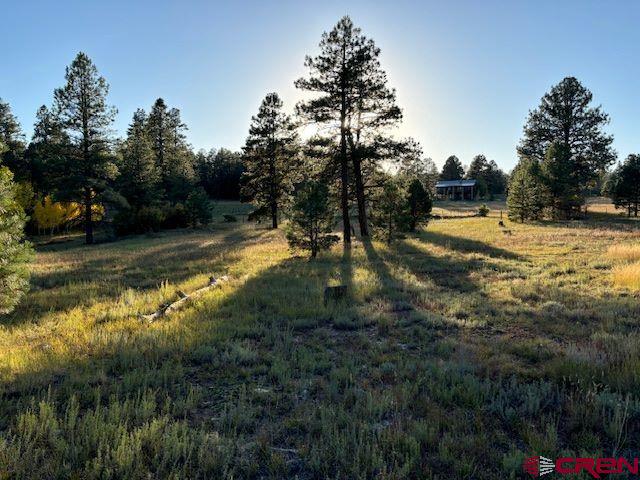 3898 N Pagosa Blvd, Pagosa Springs CO, 81147 land for sale