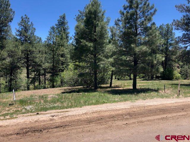 Listing photo 2 for 146 Sweetwater Dr, Pagosa Springs CO 81147