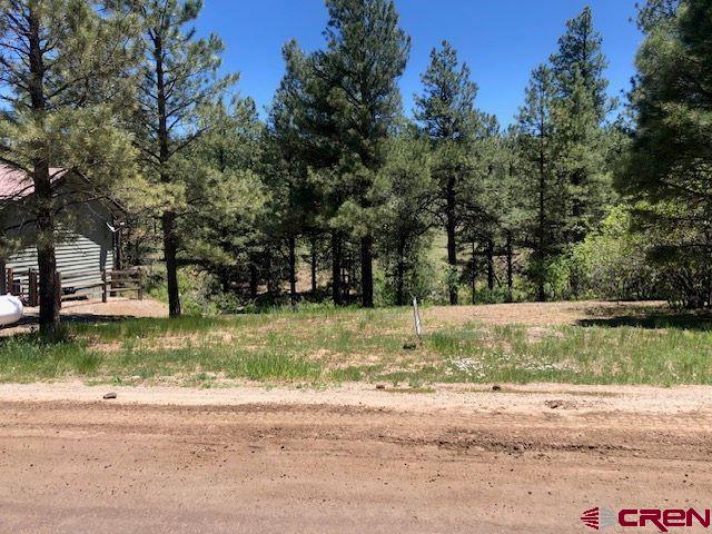 Listing photo 3 for 146 Sweetwater Dr, Pagosa Springs CO 81147