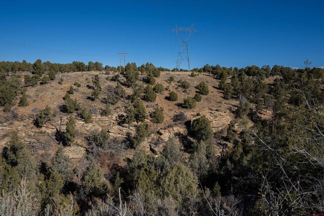 TBD Road L, Mancos, CO 81328