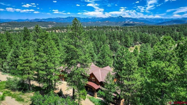 birds eye view of property with a mountain view