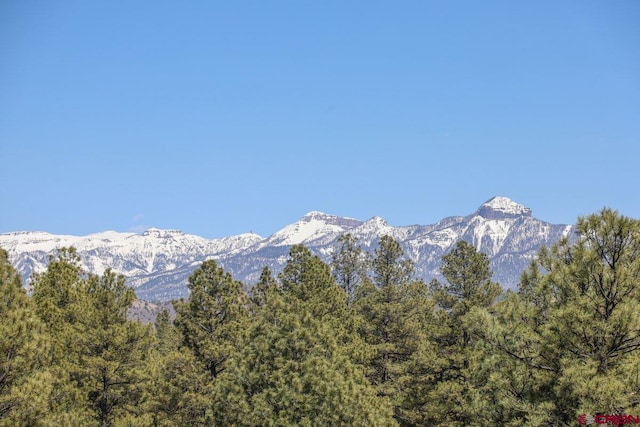 view of mountain feature