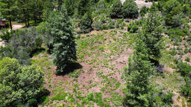 27 D Pl, Pagosa Springs CO, 81147 land for sale