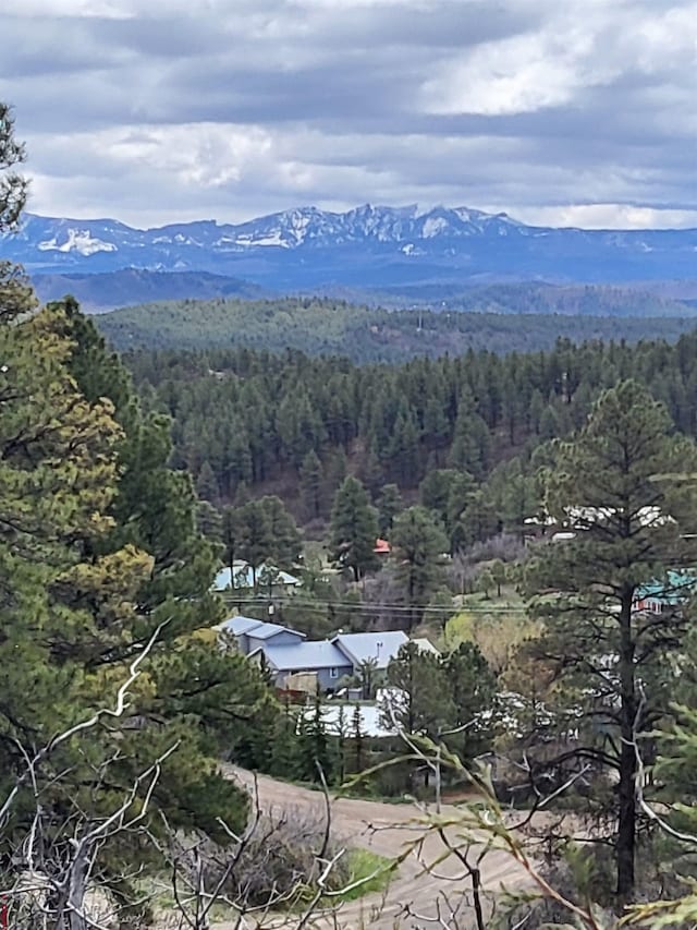 Listing photo 2 for 27 D Pl, Pagosa Springs CO 81147