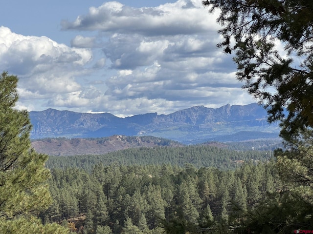 Listing photo 3 for 27 D Pl, Pagosa Springs CO 81147