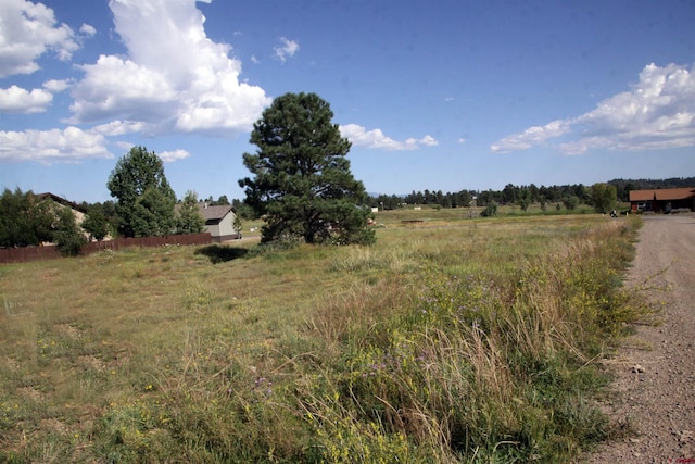 Listing photo 3 for 49 Paradise Dr, Pagosa Springs CO 81147