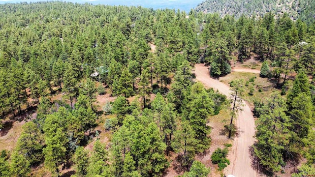 160 Far Vw, Pagosa Springs CO, 81147 land for sale