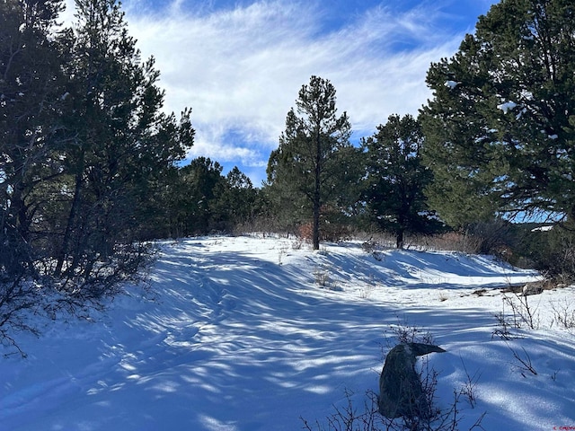 Listing photo 2 for TBDLOT4 Pointe Escape Way, Ridgway CO 81432