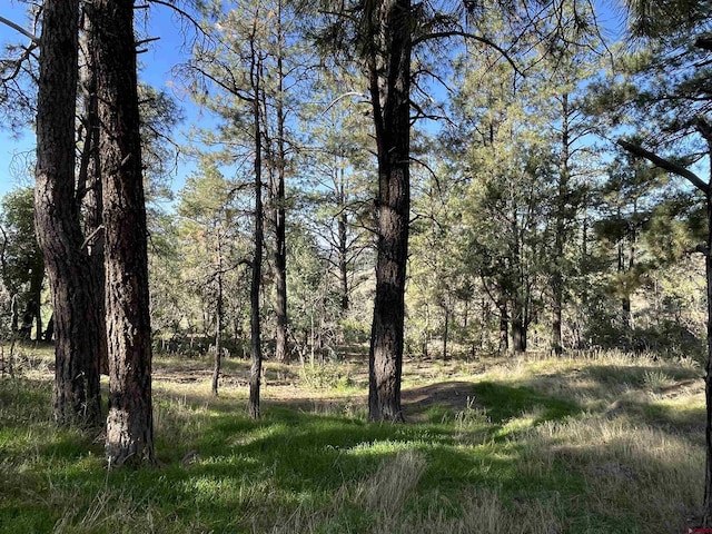 112 Deep Ct, Pagosa Springs, CO 81147
