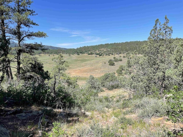 Listing photo 2 for 112 Deep Ct, Pagosa Springs CO 81147