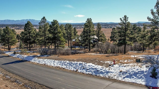 Listing photo 2 for 81 Oxbow Cir, Pagosa Springs CO 81147