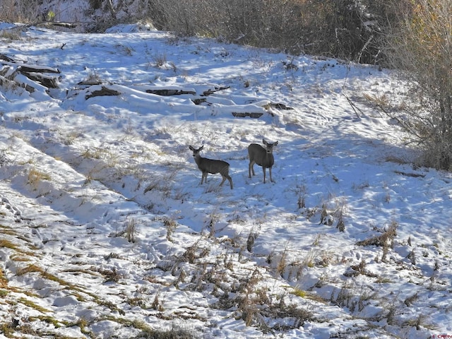 Listing photo 2 for TBDLOT3 Uncompahgre Rd, Montrose CO 81403