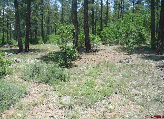 966 Starling Cir, Pagosa Springs CO, 81147 land for sale