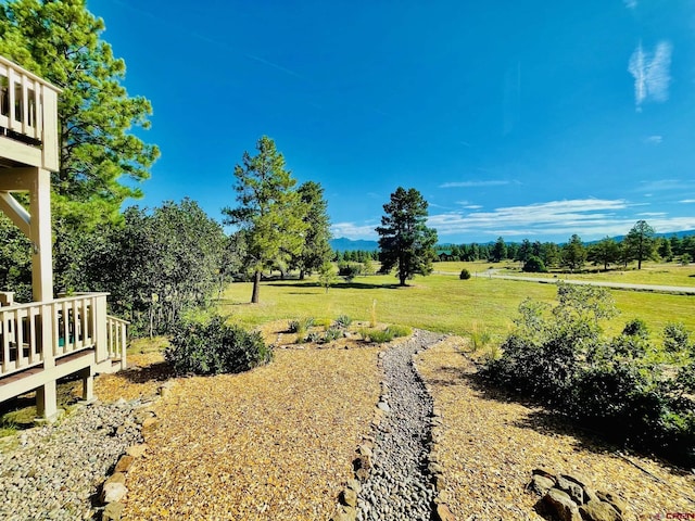 view of yard featuring a rural view